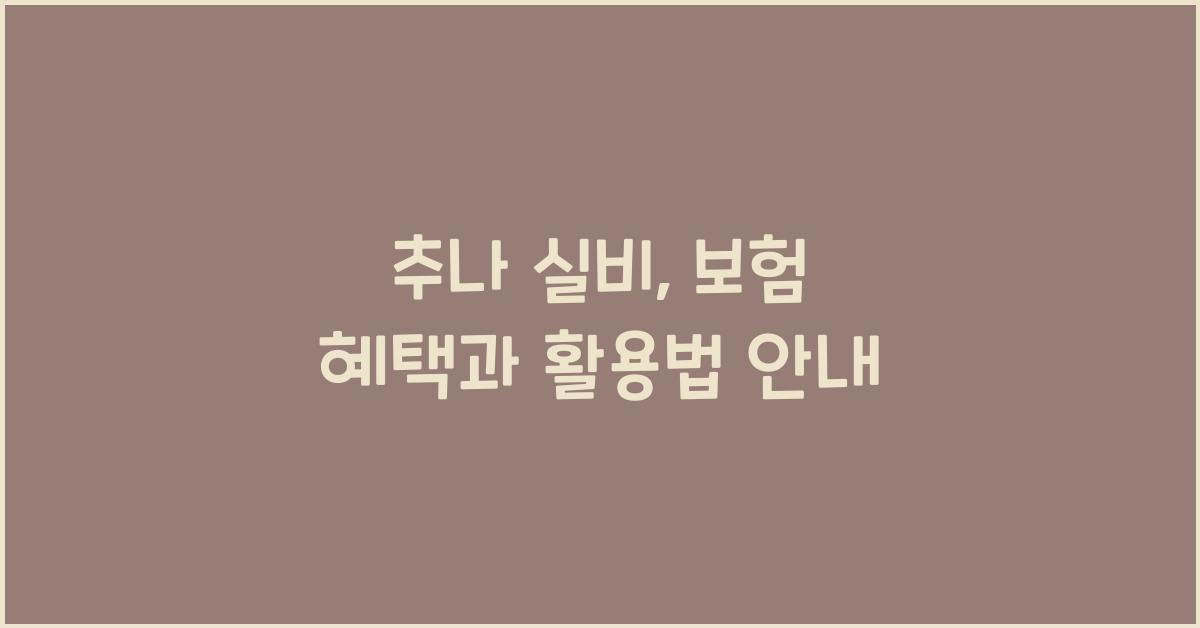 추나 실비