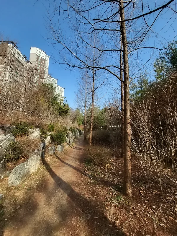 상현역 샛길