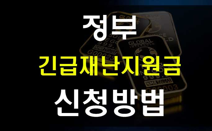  정부 전국민 긴급재난지원금 현금 카드 상품권 소비쿠폰 지급