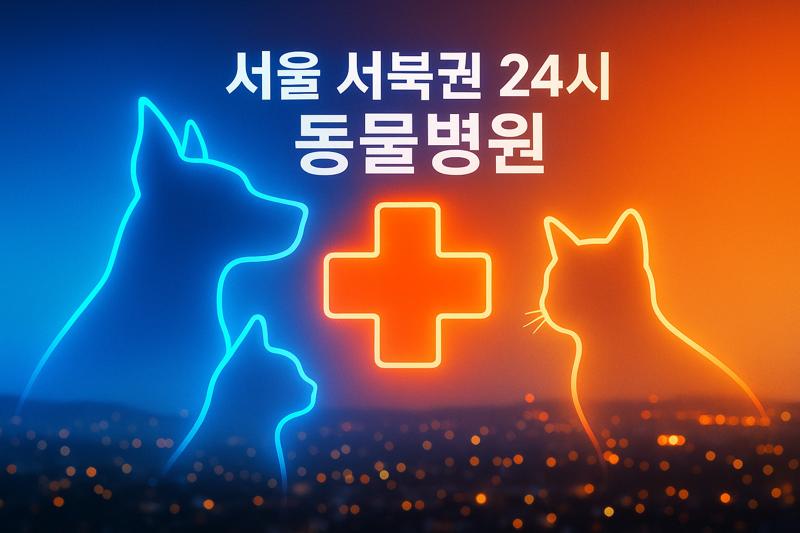 서울 서북권 24시동물병원 완벽가이드 - 마포구·서대문구·은평구·용산구 응급진료 포함
