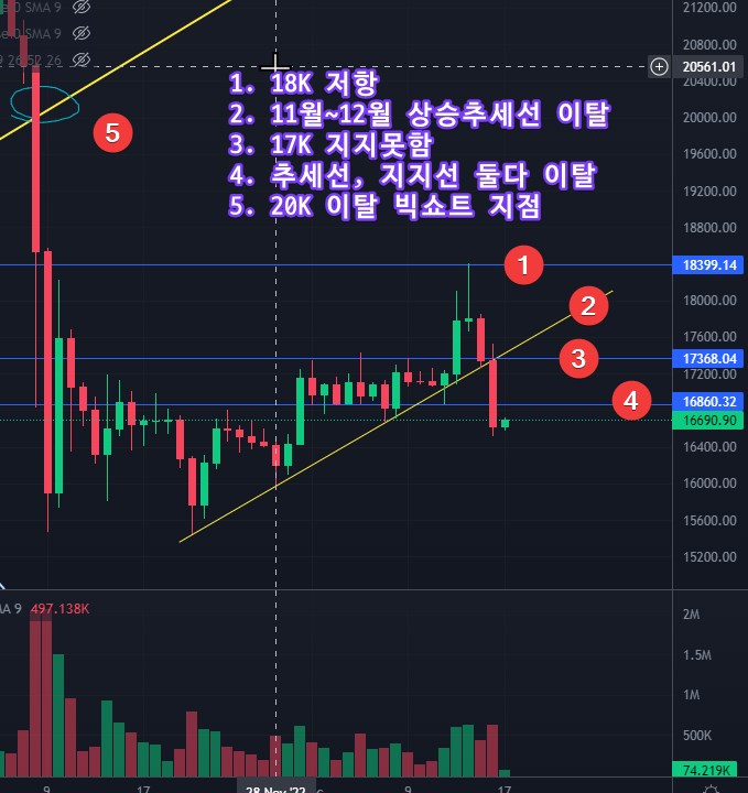 비트코인 차트 분석 일봉