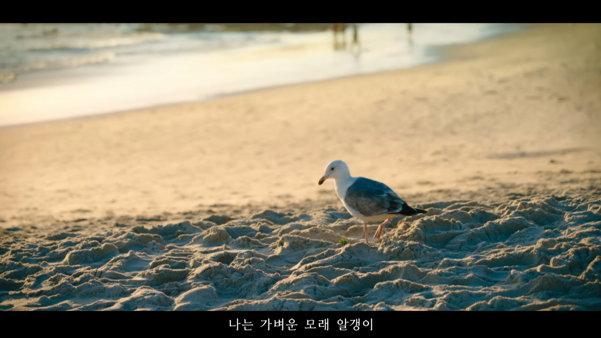임영웅 신곡 권장 스트리밍 리스트 보기, 임영웅 갤러리 바로가기