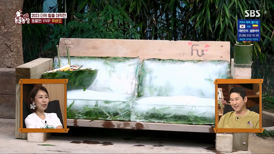 TV 동물농장.E1129.230716p.H264-F1RST.mp4_20230716_183630.604.jpg