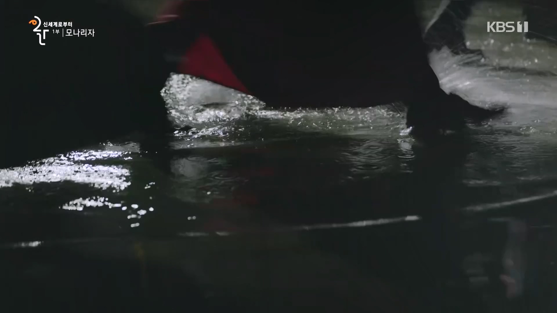 다큐 인사이트.E170.231109p.H264-F1RST.mp4_20231110_210618.806.jpg