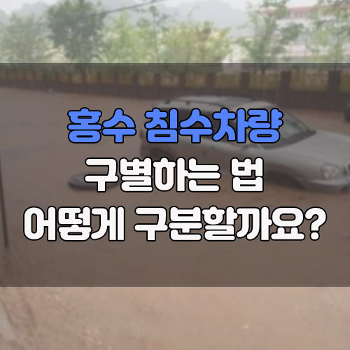 침수차 구분하는 법 01