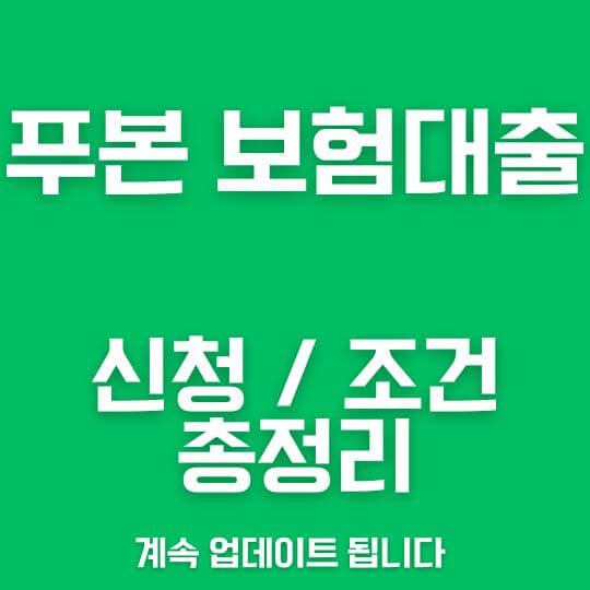 푸본 보험 대출