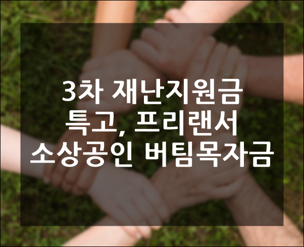 3차 재난지원금(특고,프리랜서/소상공인버팀목자금)