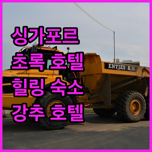 싱가포르 파크로얄 컬렉션 픽커링 숙박