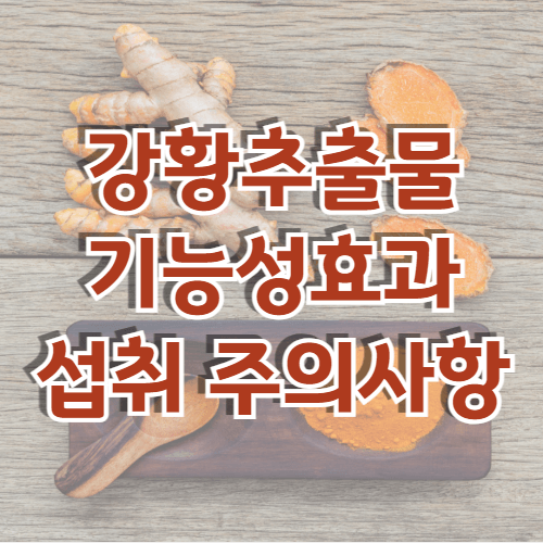 강황추출물 관절 건강 기능성 효과와 섭취 주의 사항