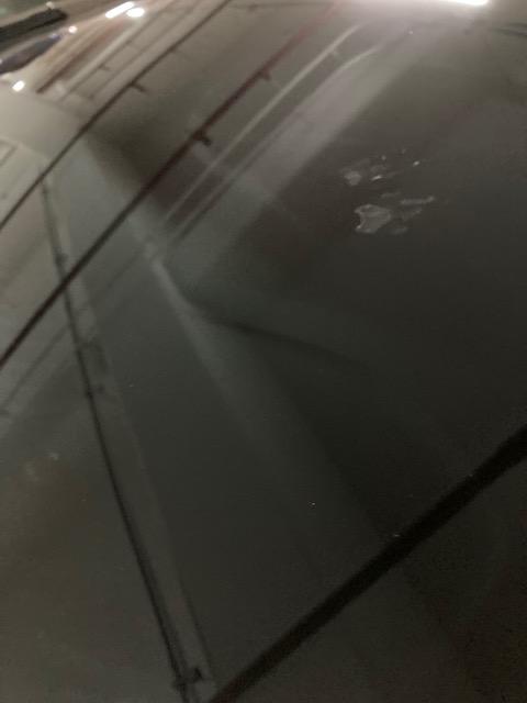  자동차에 000 발바닥