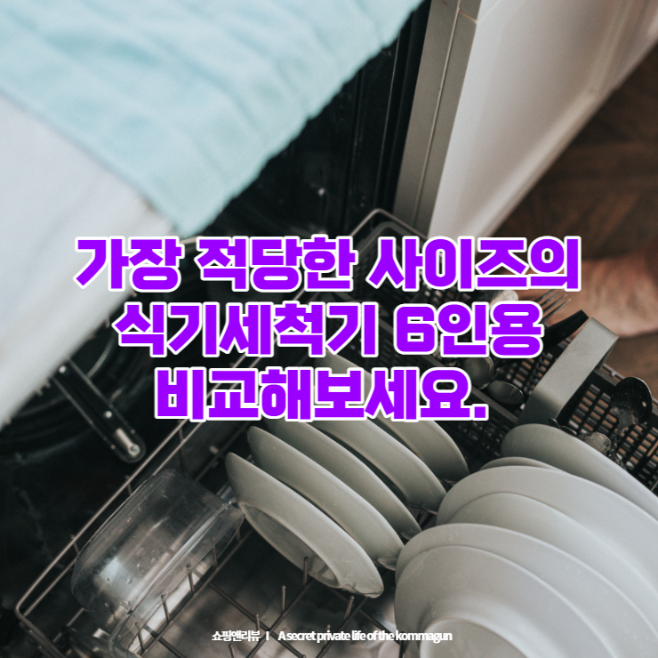 한국가정에서 가장 적당한 크기의 6인용 식기세척기 목록