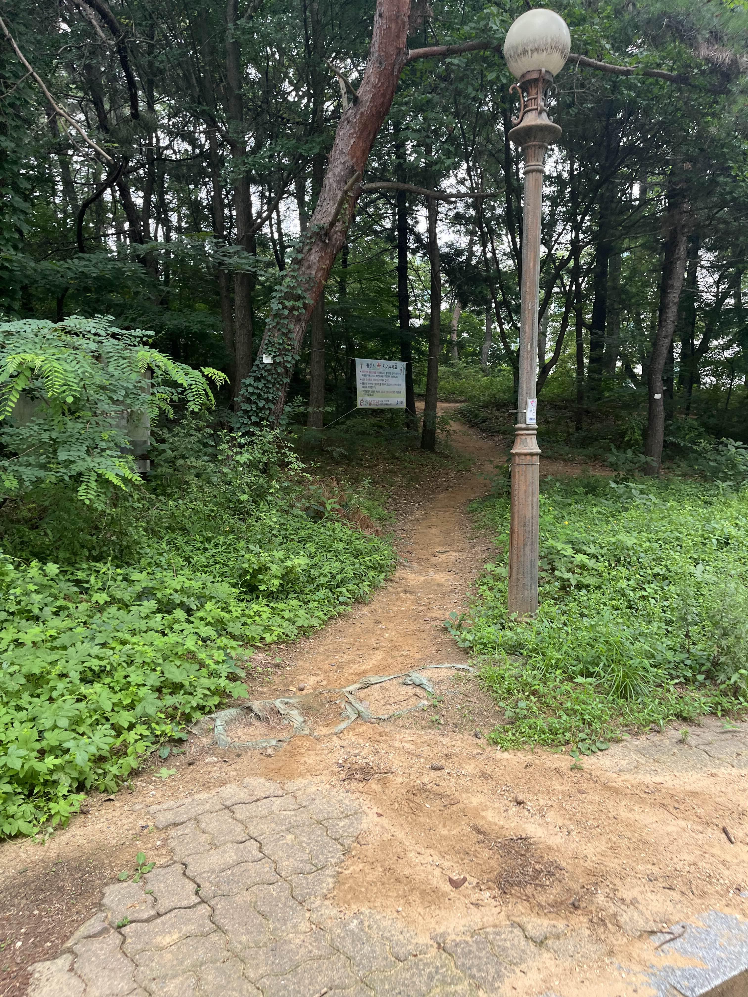 [수원 경희대 등산로]매미산