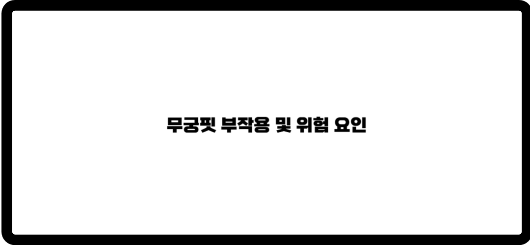 무궁핏