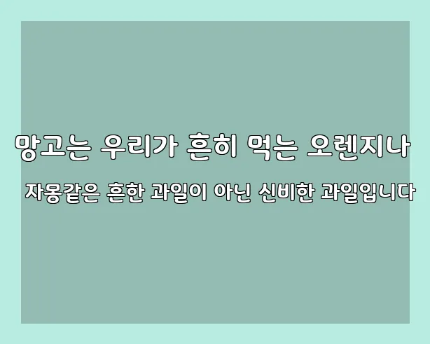 망고는 우리가 흔히 먹는 오렌지나 자몽같은 흔한 과일이 아닌 신비한 과일입니다