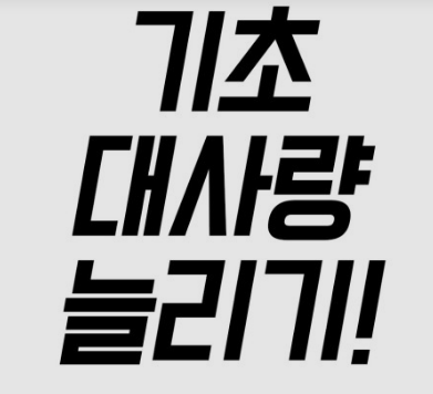  기초대사량 계산기 기초대사량 높이는 5가지 방법