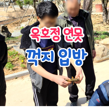  옥호정 연못에 입방한 섬진강 꺽지, 우렁이