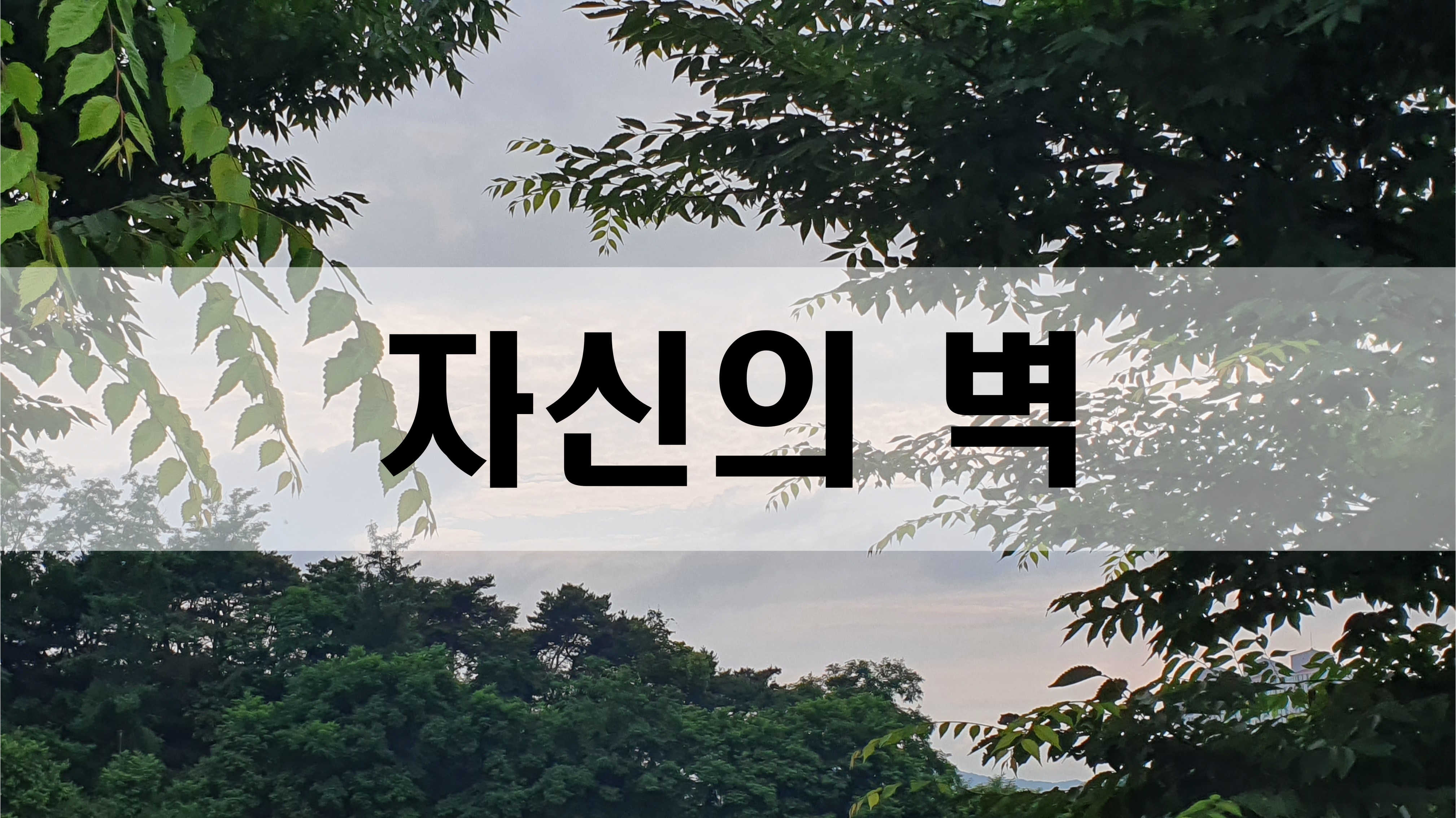 자신의 벽 [성장 명언]