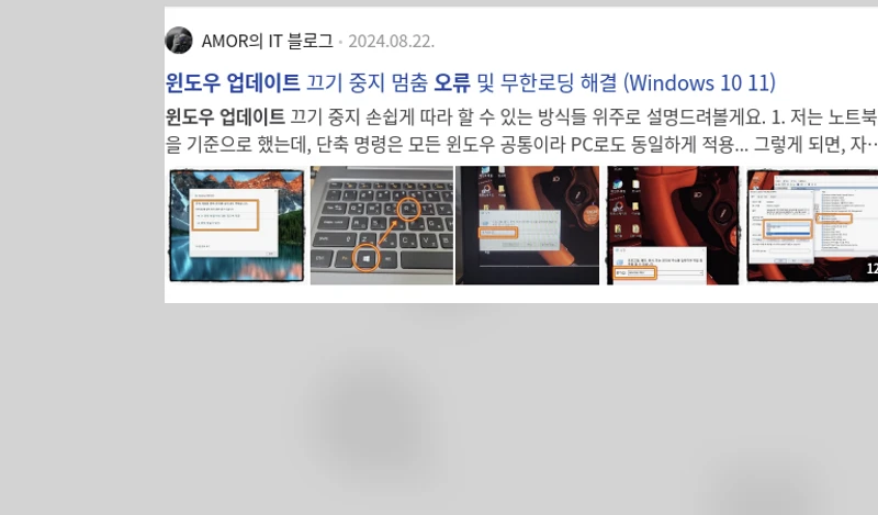 윈도우 업데이트 오류_2_subsection