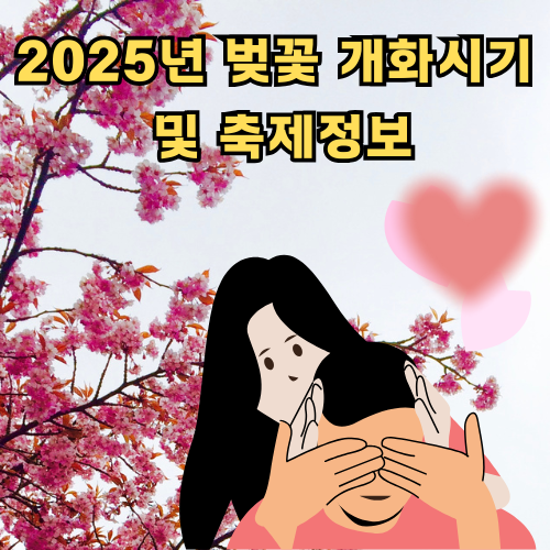 2025년 벚꽃 개화시기