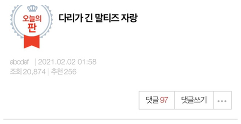  다리가 긴 말티즈 자랑