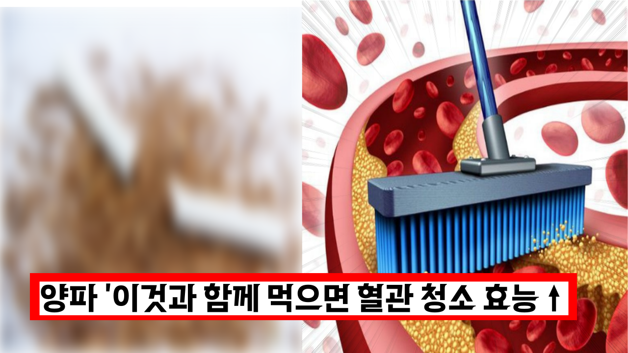  양파를 '이것과 함께' 먹게 되면 혈관 청소에 탁월한 효능 ↑
