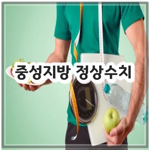 중성지방 정상수치