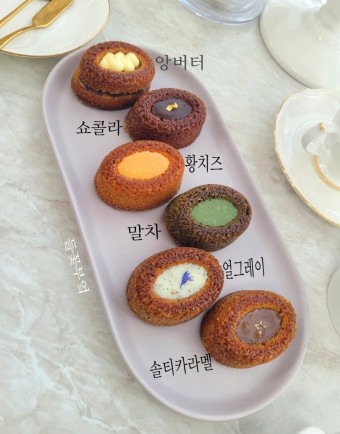 티그레 이미지