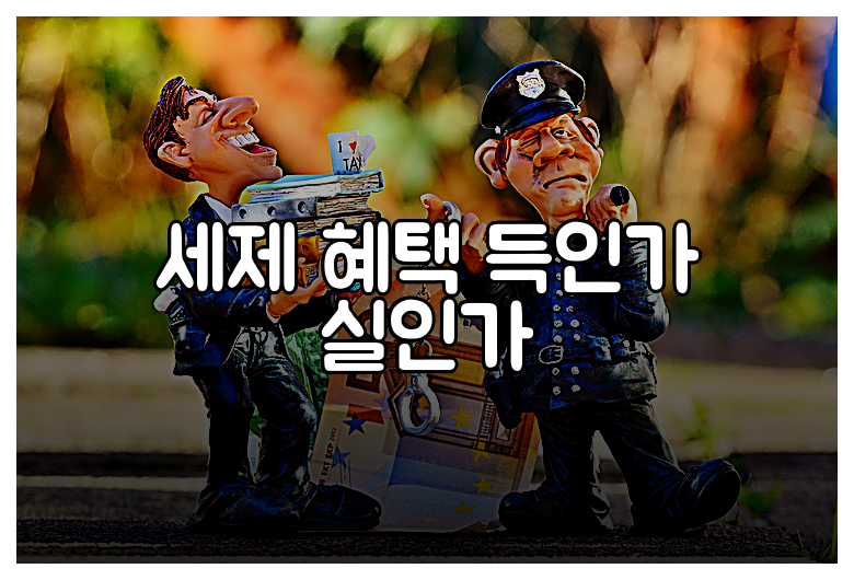 세제 혜택 득인가 실인가