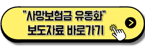 사망보험금 유동화 보도자료