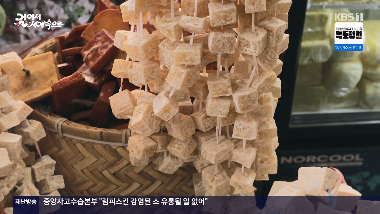 걸어서 세계속으로.E819.231126p-NEXT.mp4_20231126_173655.520.jpg