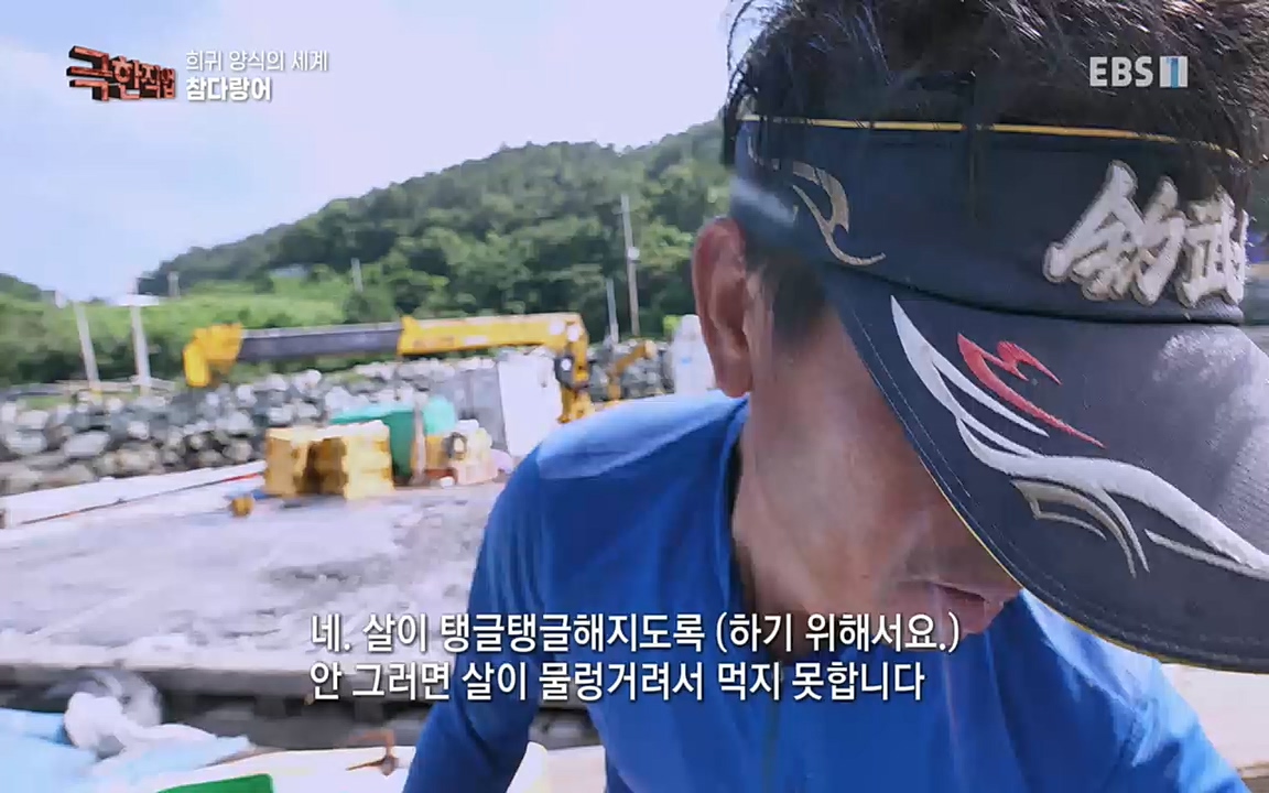 TV - 교육의 중심 EBS희귀 양식의 세계 - 참다랑어, 연어, 쏘가리.mp4_20220829_200223.868.jpg