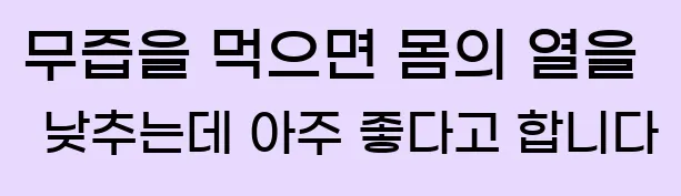  무즙을 먹으면 몸의 열을 낮추는데 아주 좋다고 합니다