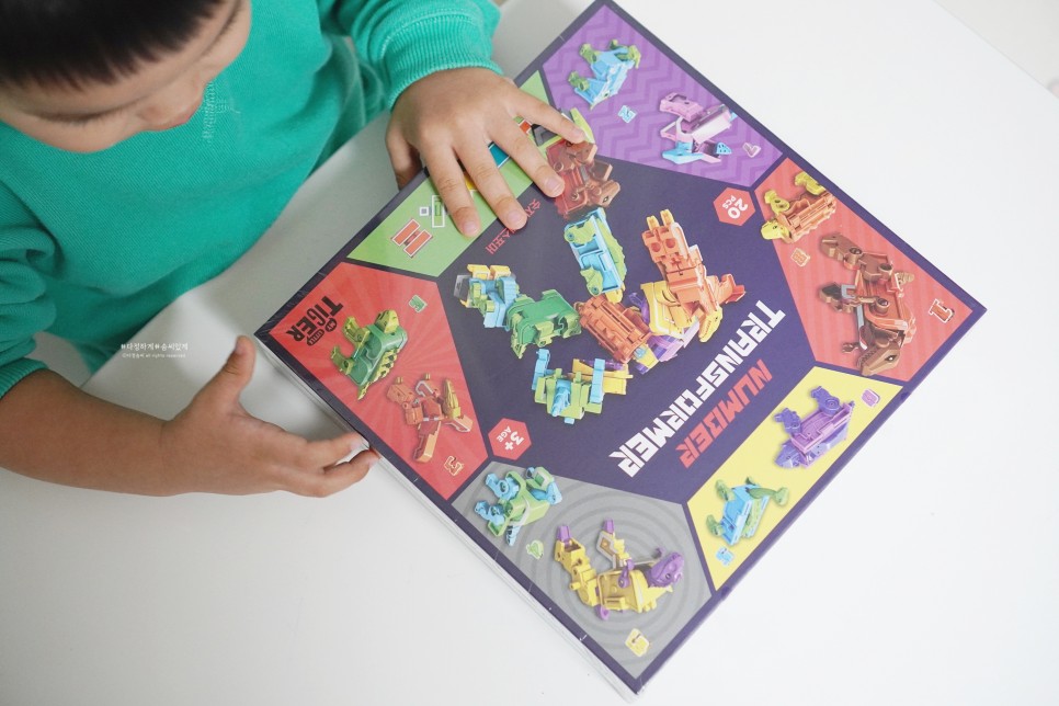 트랜스포머 숫자, 공룡로봇과 수놀이하자 19