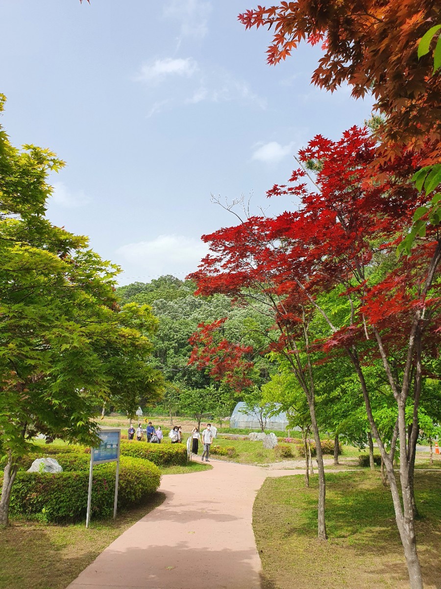 경안천 습지생태공원 여행 경기도 광주에 가볼 만한 곳 12