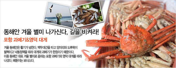 포항과메기 이미지