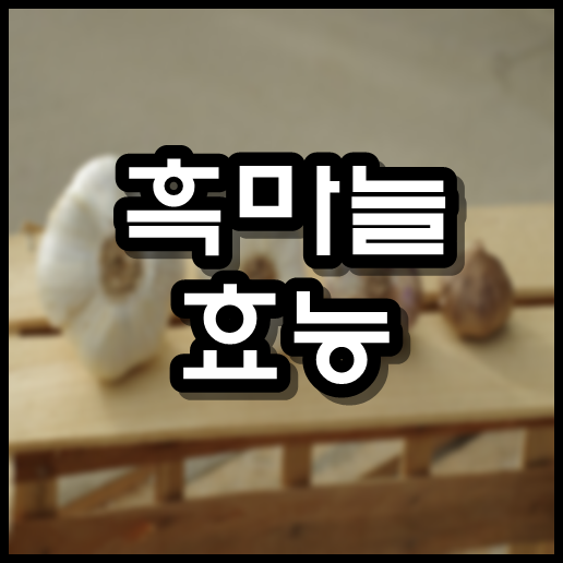  흑마늘 효능