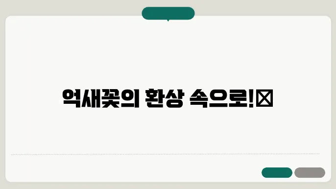 가을 제철 억새꽃으로 가득한 민 둥산