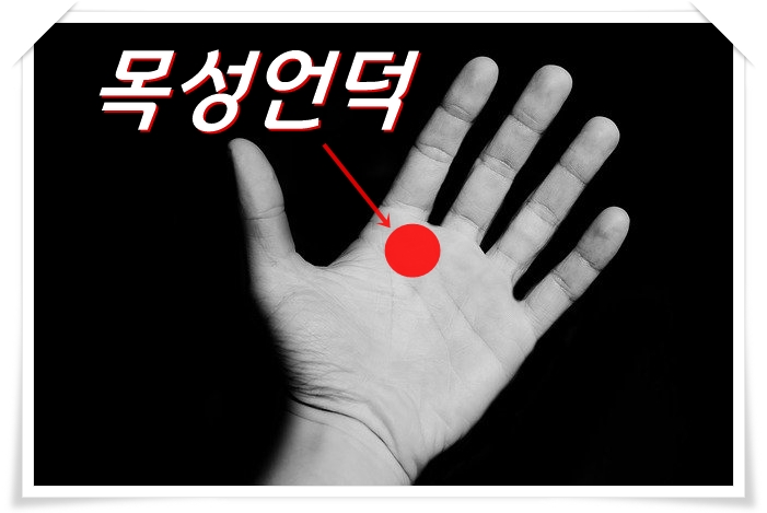  손금과 밀접한 관계가 있는 손금 9개의 언덕