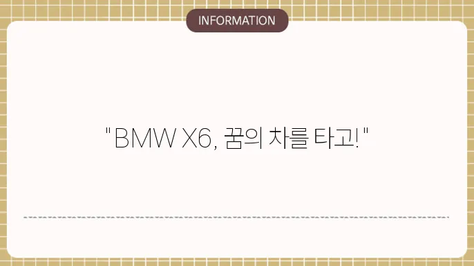 bmw x6 리스 비용