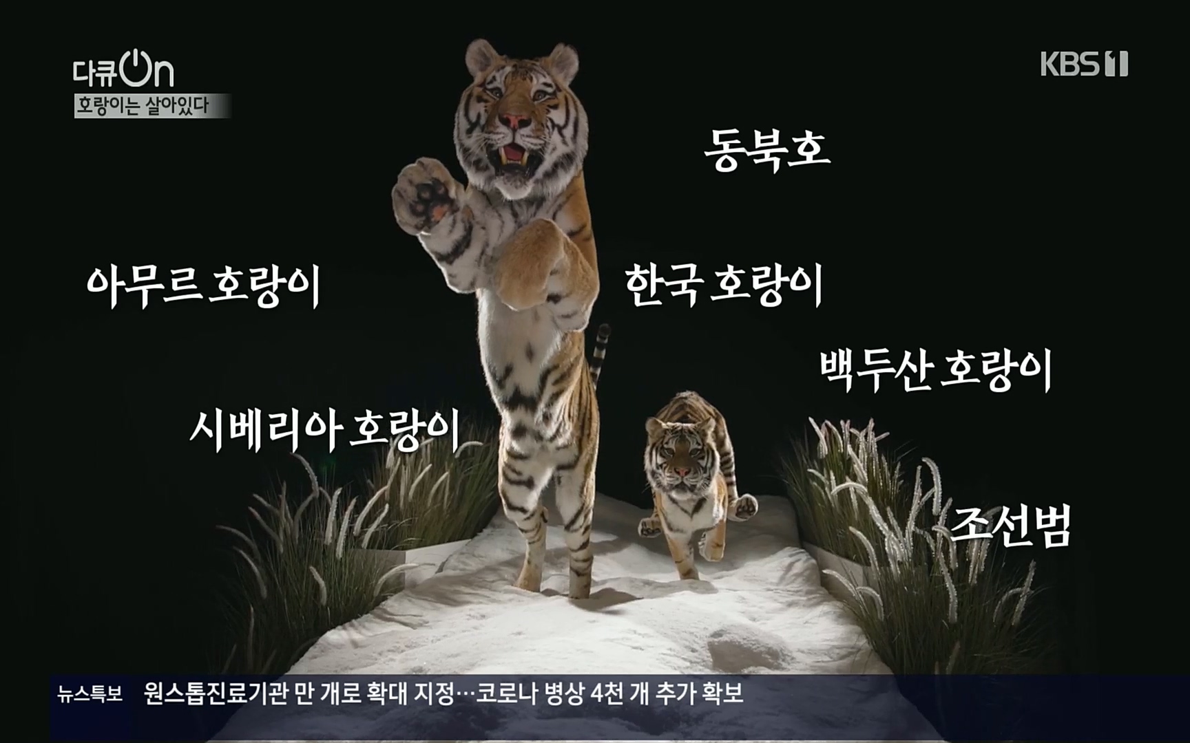 다큐 On.E150.220729p.H264-F1RST.mp4_20220730_162218.053.jpg