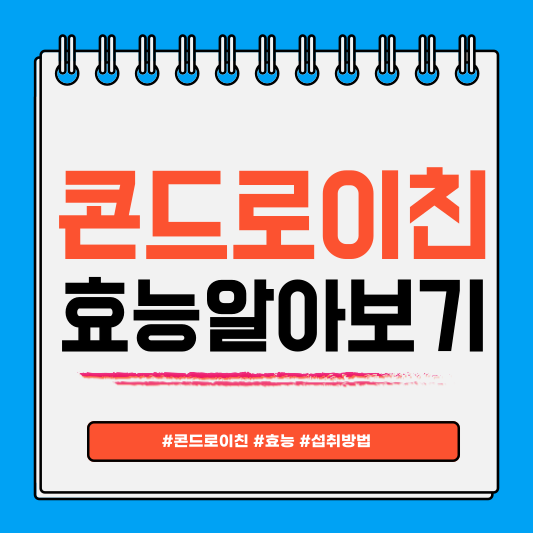 콘드로이친