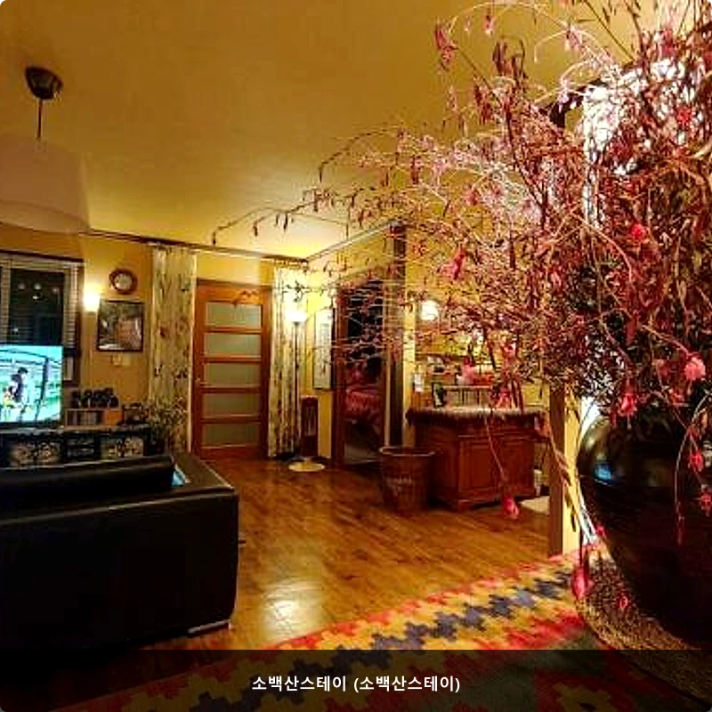 소백산스테이 (소백산스테이)_4