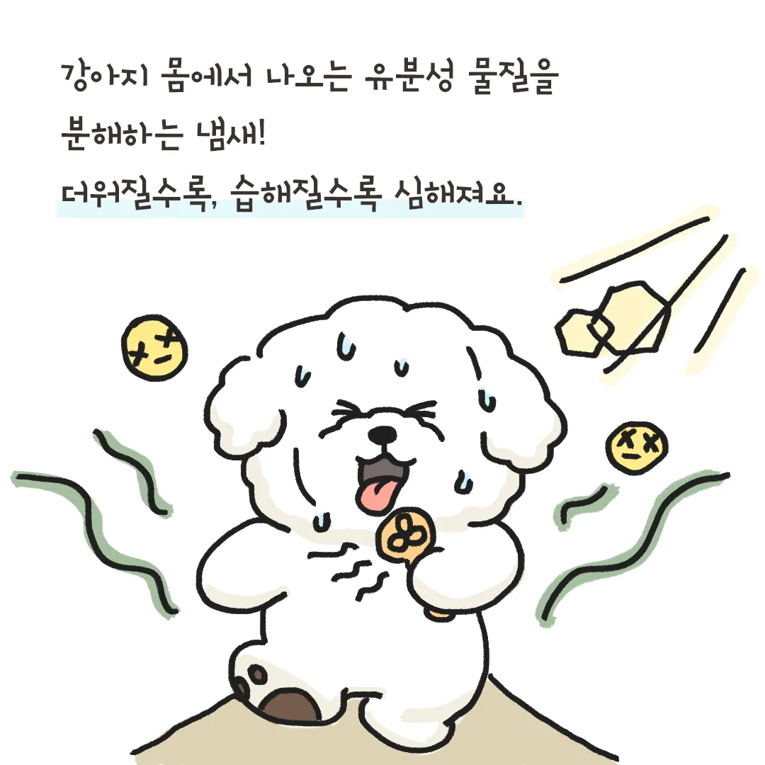 집안에서 간편하게 시도 가능한 강아지 냄새 제거 기술_2