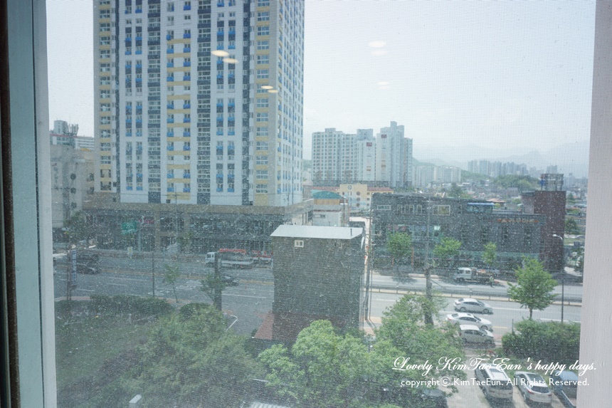 속초 팜파스리조트 강원도 숙소 추천 10