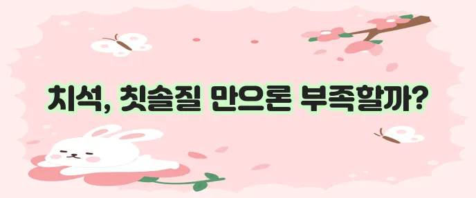 치석 제거하는법 치석제거기, 치약