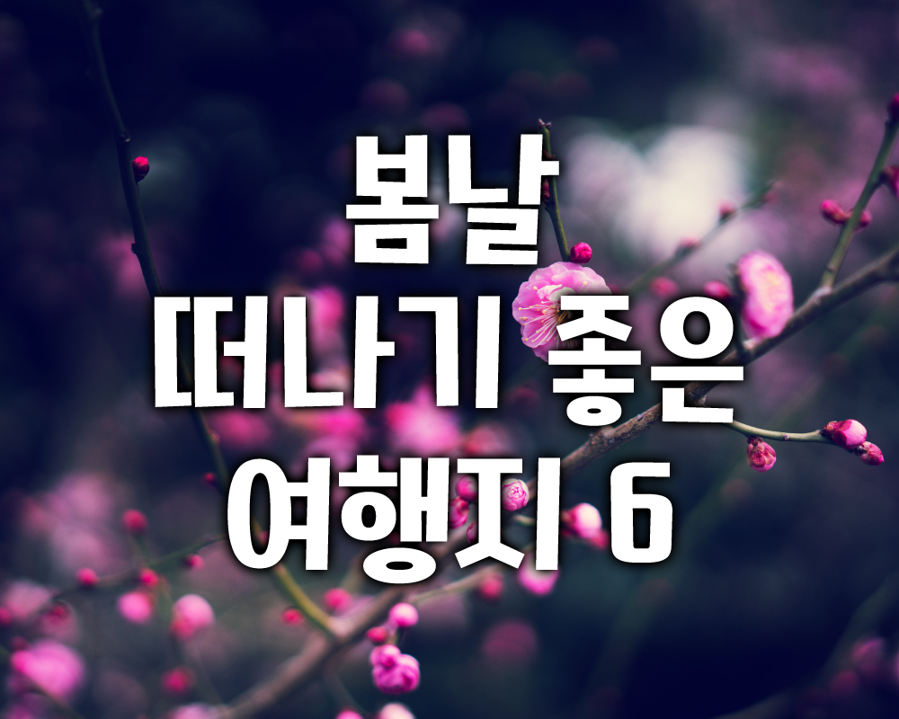  [봄 여행지] 봄날 떠나기 좋은 여행지 6