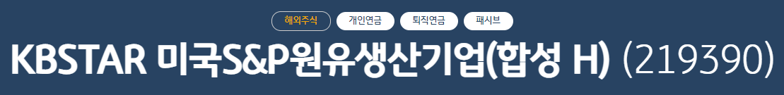 KBSTAR 미국S&P원유생산기업(합성 H) 정식 명칭 및 주식 번호