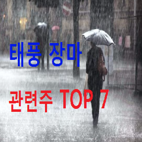  태풍 장마 관련주 총정리 & 분석