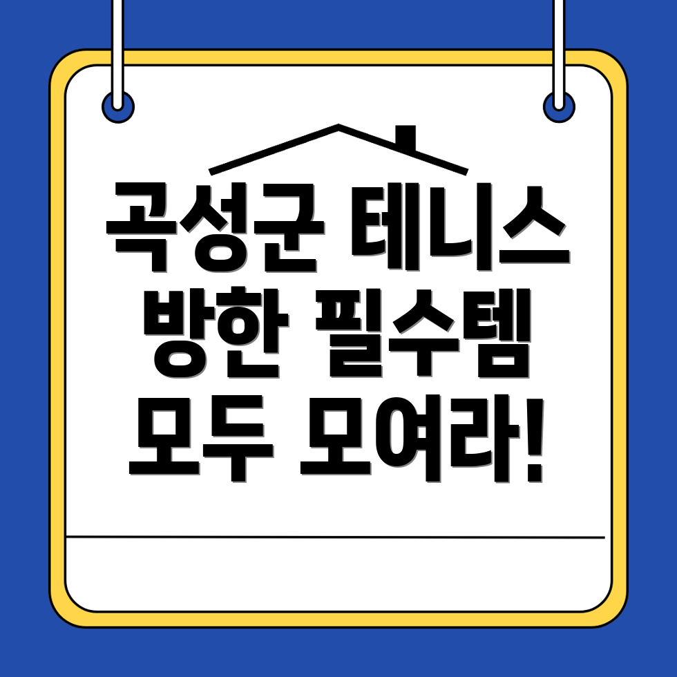 곡성군 테니스 토시