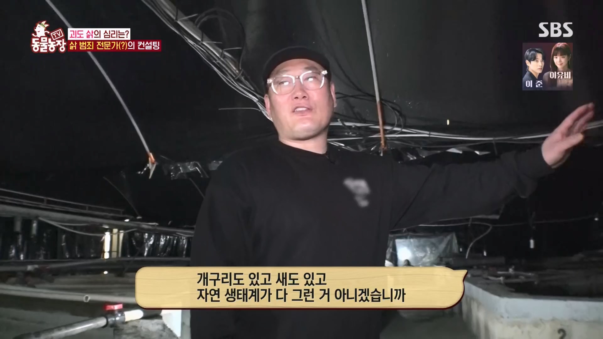 TV 동물농장.E1165.240331p.H264-F1RST.mp4_20240331_144350.520.jpg